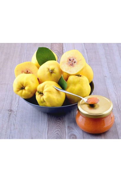 Айва яблуковидна Олена варення